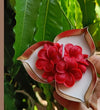 Handcrafted Red Rose Floral Urli Candle with Mogra & Sandalwood Fragrance for Festive Gifting